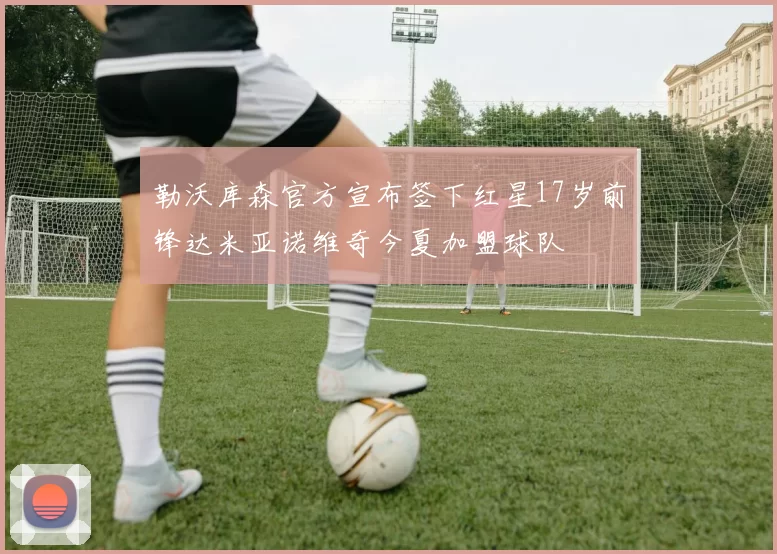 勒沃库森官方宣布签下红星17岁前锋达米亚诺维奇今夏加盟球队